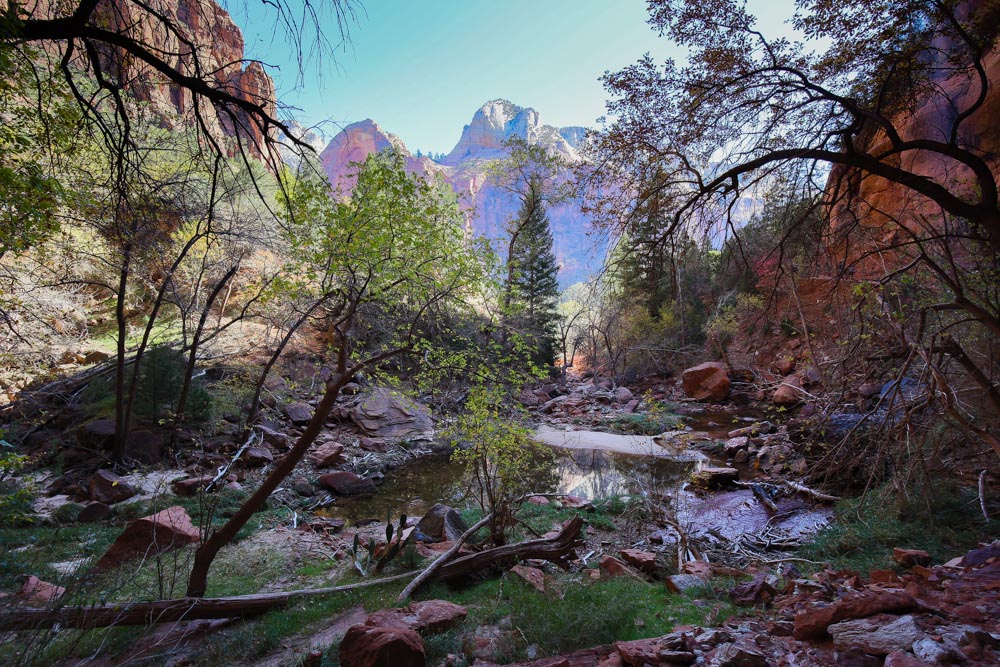 Photos from Zion and Bryce National Parks