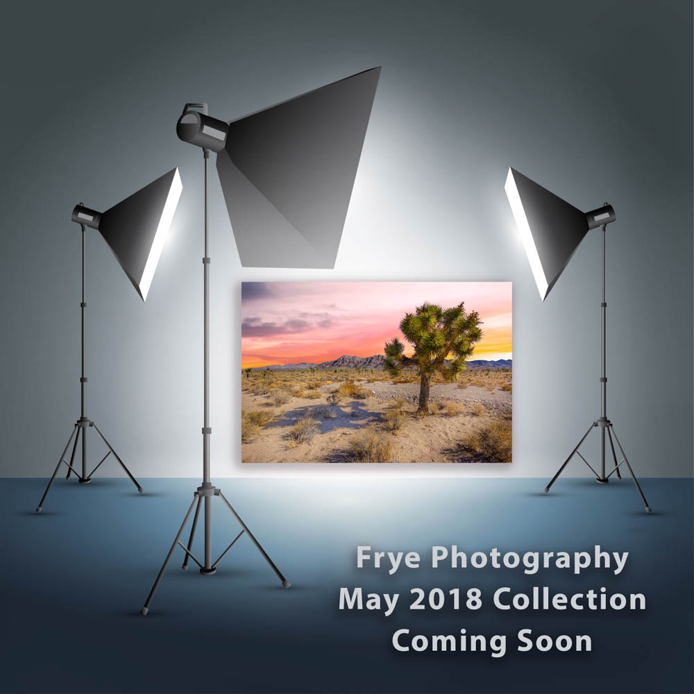 New Frye Photography Collection Coming Soon